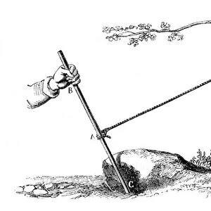 Mechanical advantage: The power of the lever, 1877