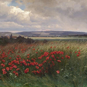 Poppies, 1909