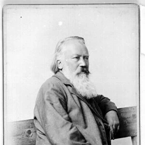 Portrait of Johannes Brahms (1833-1897)