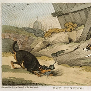 Rat Hunting, 1823