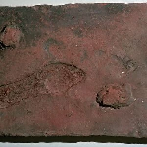 Roman tile with a human footprint, 3rd century