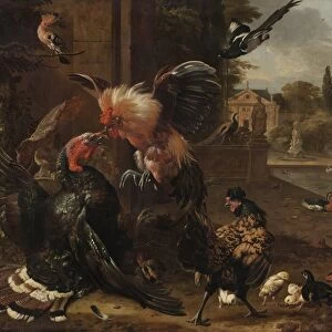 A Rooster and Turkey Fighting, c. 1680. Creator: Melchior de Hondecoeter (Dutch, 1636-1695)