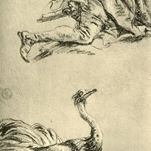 A running Ostrich, 1752-1753, (1928). Artist: Giovanni Battista Tiepolo