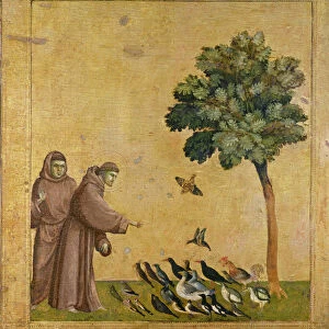 The Sermon to the Birds. Artist: Giotto di Bondone (1266-1377)