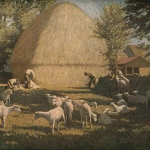 Sheep Shearing, 1901, (c1930). Creator: Dermod O Brien
