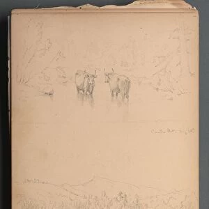 Sketchbook, page 07: Carter Mt (?) Aug. 28th, 1859. Creator: Sanford Robinson Gifford
