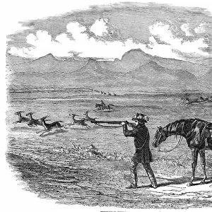 Springbok Hunting in South Africa, 1850. Creator: Unknown