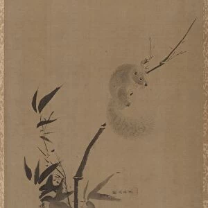 Squirrel on Bamboo, ca. 1650. Creator: Kano Tan yû