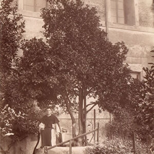 St. Dominics Orange Tree on the Aventine, 1880s. Creator: Unknown