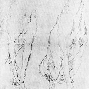 Study for the greyhound in the portrait of the Duke of Richmond, c1634 (1900)