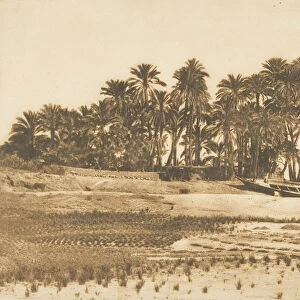 Vue de l ile d Elephantine, en face d Assouan, 1849-50. Creator: Maxime du Camp