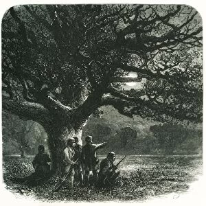 The Watch Oak, c1870