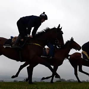 Racehorses out for a morning gallop