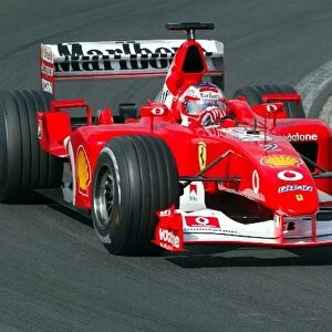 Formula One World Championship: Race winner Rubens Barrichello Ferrari F2002