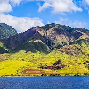 The green landscape of the island of Maui, Hawaii, USA
