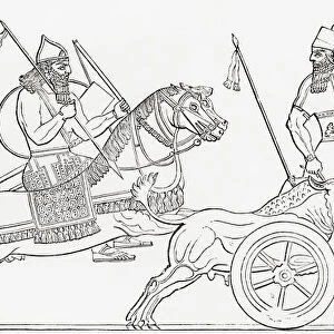 Hunting Wild Bull In Ancient Assyria. From The Imperial Bible Dictionary, Published 1889