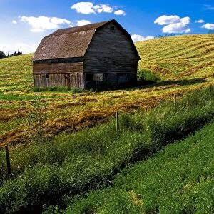 Old Barn In A Field