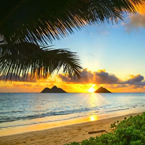 Sunrise over Mokulua Islands, Oahu, Hawaii, USA