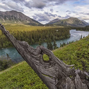 The Takhini River Flows Through A Valley Near Kusawa Lake, With An Old Tree Stump Jutting From The Hillside Near Sunset; Yukon, Canada