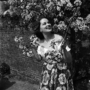 Actress Lisa Daniely seen here amongst the blossom at Shepperton film studios