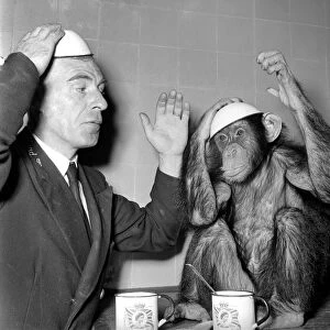 Animals Monkey Humour. Monkeys table manners. September 1953 D5598-003