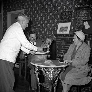 Nemo is served a pint of beer at his local pub November 1959 1950s