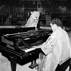 Pianist, Winifred Attwell went into the lions cage at Jack Hyltons Circus