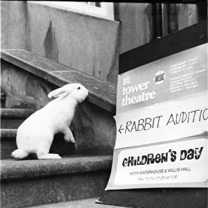 A rabbit goes for a theatre audition