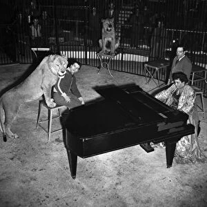 Winifred Atwell plays the piano in a lion cage. 22nd December 1953