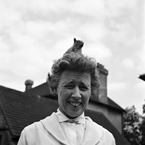 Woman with pet squirrel called John Willy on her head. June 1960 M4257-003