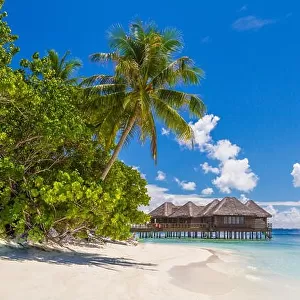 Fantastic Maldives beach background. Beautiful white sand beach and palm trees under blue sky. Luxury travel and vacation concept