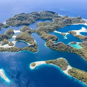 Limestone islands are surrounded by healthy coral reefs in Raja Ampat, Indonesia. This region is thought to be the epicenter of marine biodiversity