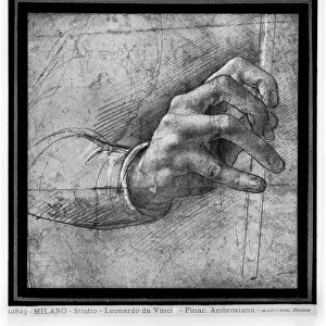 Study of hand, drawing, Leonardo Da Vinci (1452-1519), Ambrosiana Picture Gallery, Milan