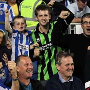 Brighton & Hove Albion FC: Electric Atmosphere - Crowd Shots at The Amex (2012-2013)