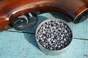 Sports Prints: 22 air rifle pellets in tin beside air rifle, Bacton, Suffolk, England, April