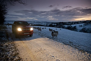 Cars Prints: 4X4 vehicle on snow covered farm track in evening