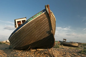 Shingle Prints: Abandoned fishing boats on shingle beach, Dungeness, Kent, England, June