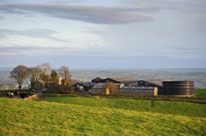 Forty Acre dairy farm in evening sunlight, Longridge Fell, Longridge, Preston, Lancashire, England, october