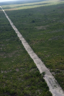 Botswana Prints: Aerial view of boundary line running through Okavango Park
