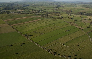 Aerial view of drystone walls and old field systems, White Peak, Peak District, Derbyshire, England, september
