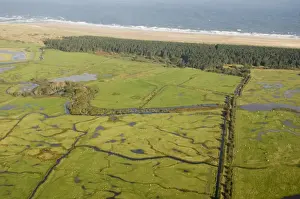 Pines Prints: Aerial view of grazing marsh, pine woodland and coastline