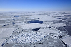 Floes Prints: Aerial view of pack ice, Magdalen Islands, Gulf of St. Lawrence, Quebec, Canada, March