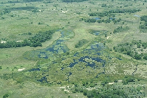 Aerial Prints: Aerial view of wetland habitat, Okavango Delta, Botswana