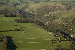 Aerial Prints: Aerial view of wooded valley, drystone walls and sheep flock in pasture