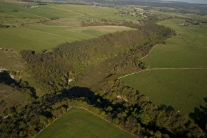 Aerial Prints: Aerial view of wooded valley, Lathkill Dale N