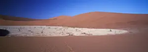 Namibian Prints: Africa - Namibia Dead Vlei Tsauchab River Valley (near Sossus Vlei) Namib Desert