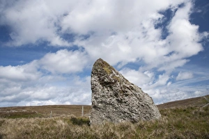 Stones Prints: Ancient standing stone, Giants Stones, North Mainland, Shetland Islands, Scotland, June