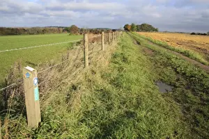 Directions Prints: Angles Way National Trail, sign on post beside barbed wire fence