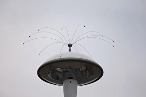 Seabird Prints: Anti-roosting spikes to deter gulls from light, Dorset, England, May