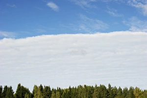 Atmosphere Prints: Approaching weather front, clouds over forest, Sweden, september